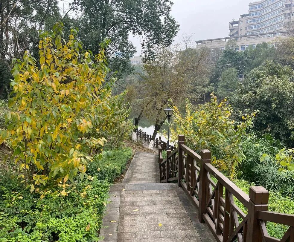 image3.jpeg