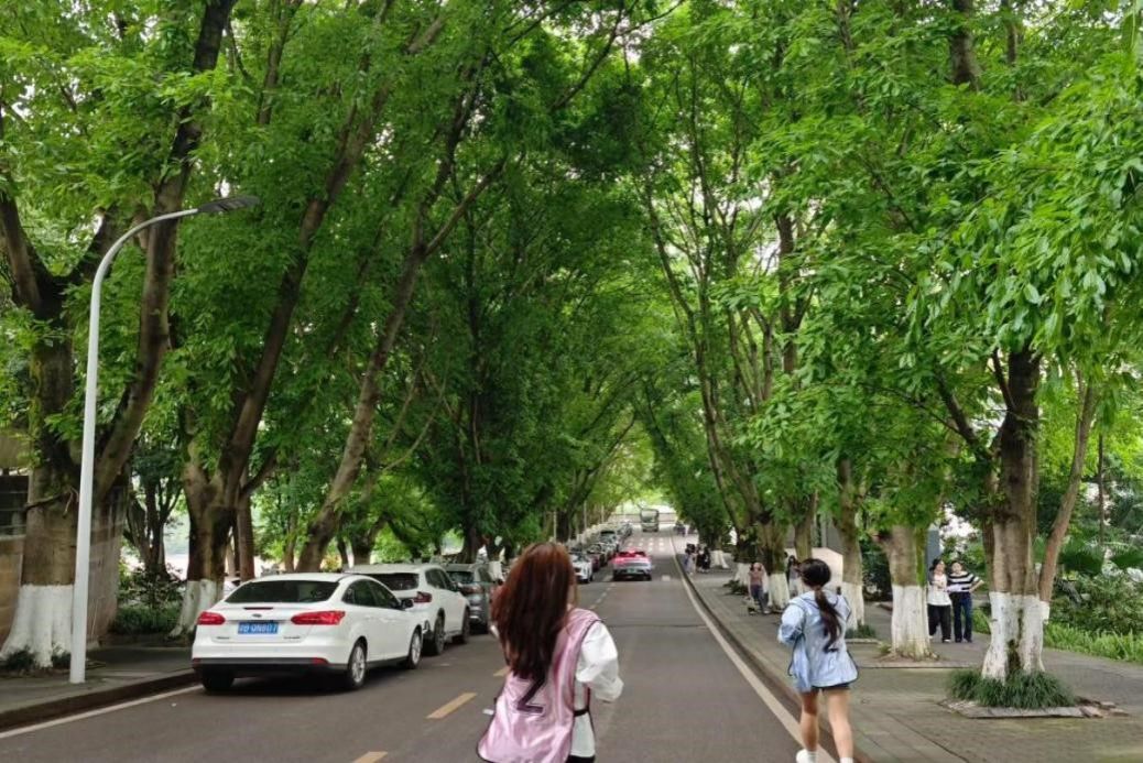 5月16日美加墨世界杯开展第十三届“筑梦启航”体育文化节定向越野竞赛圆满收官 原图2.jpg